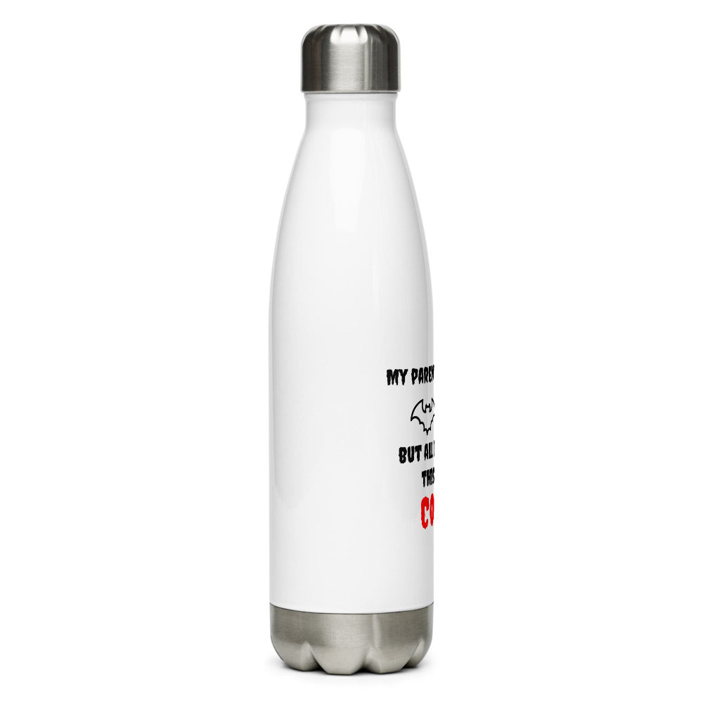 Stainless Steel Water Bottle